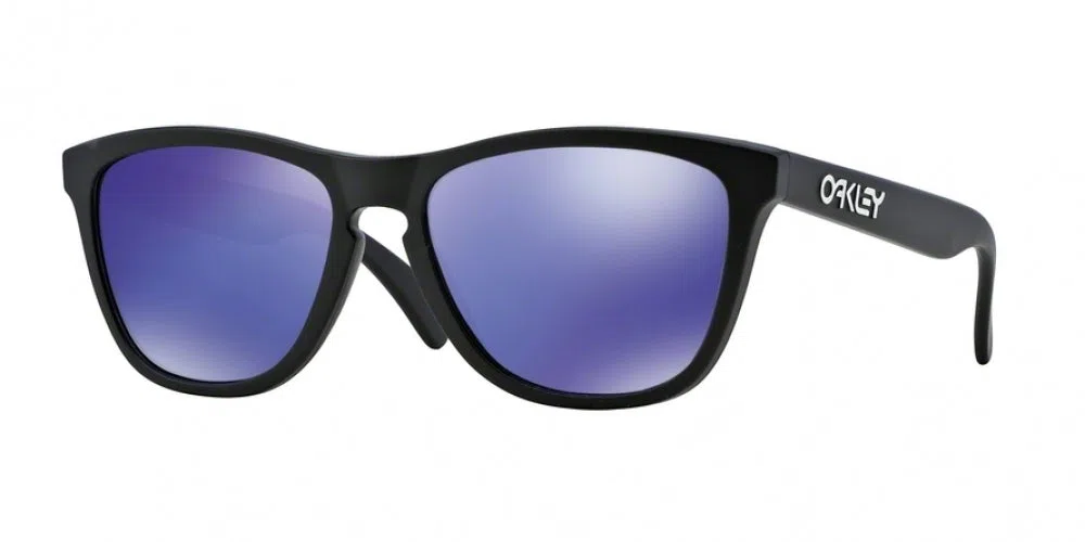 Oakley Frogskins 9013 Sunglasses - view 16